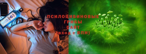 дживик Беломорск
