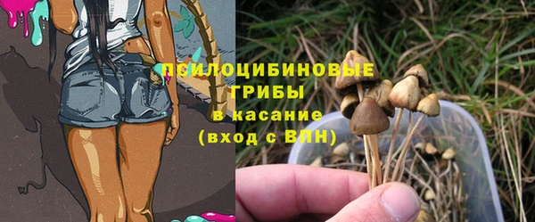 дживик Беломорск