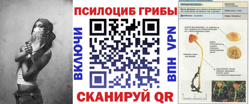 Галлюциногенные грибы ЛСД  закладки  Курганинск 